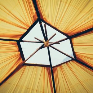 umbrella